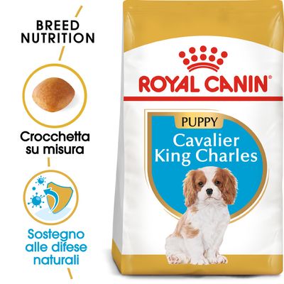 Royal Canin Cavalier King Charles Puppy Crocchette per cane 1.5 kg