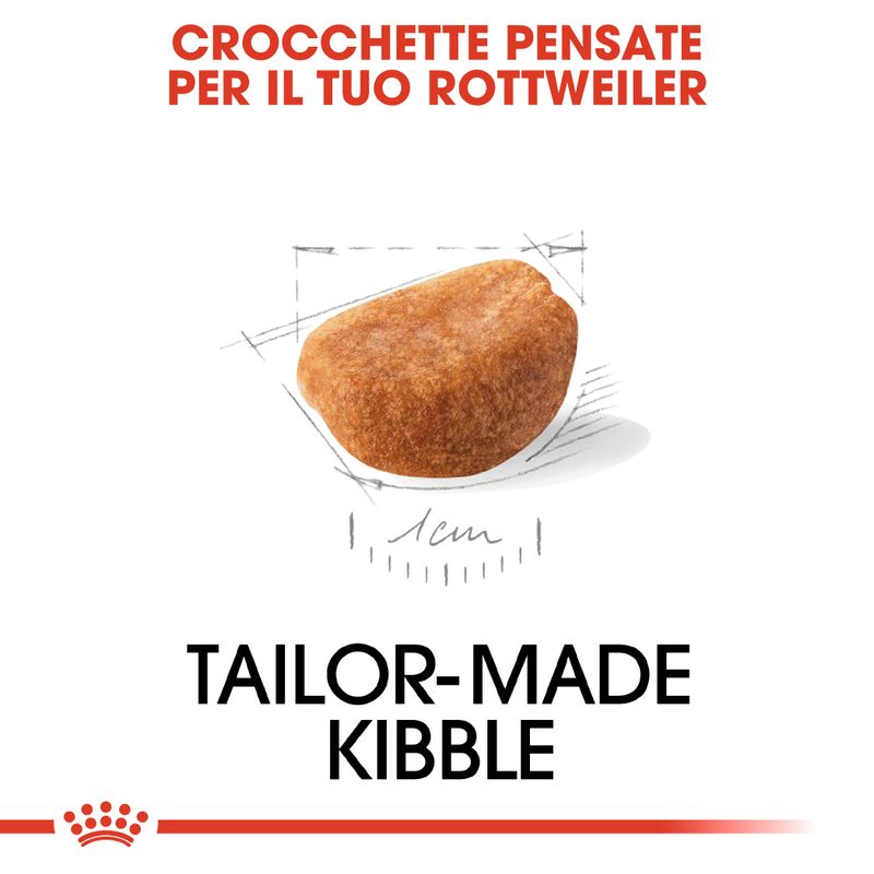 Royal Canin Rottweiler Puppy Crocchette per cane 12 kg